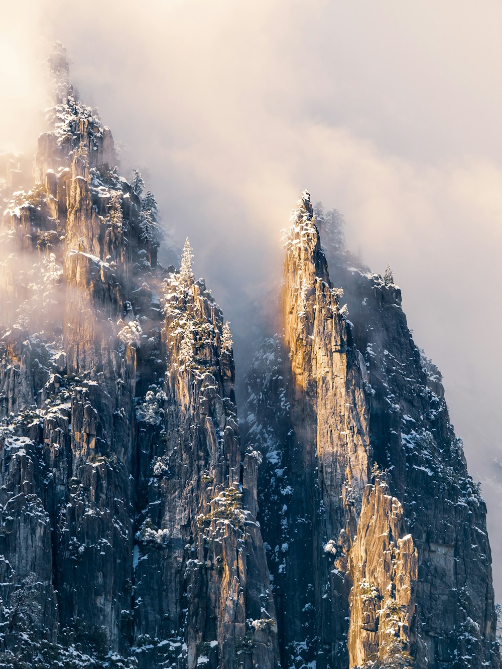 a mountain covered in snow next to a forest