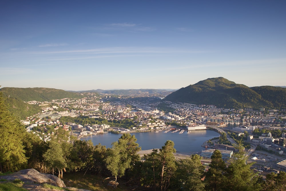 a view of a city and a lake from a hill