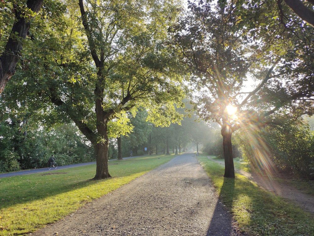 the sun shines through the trees on a dirt road