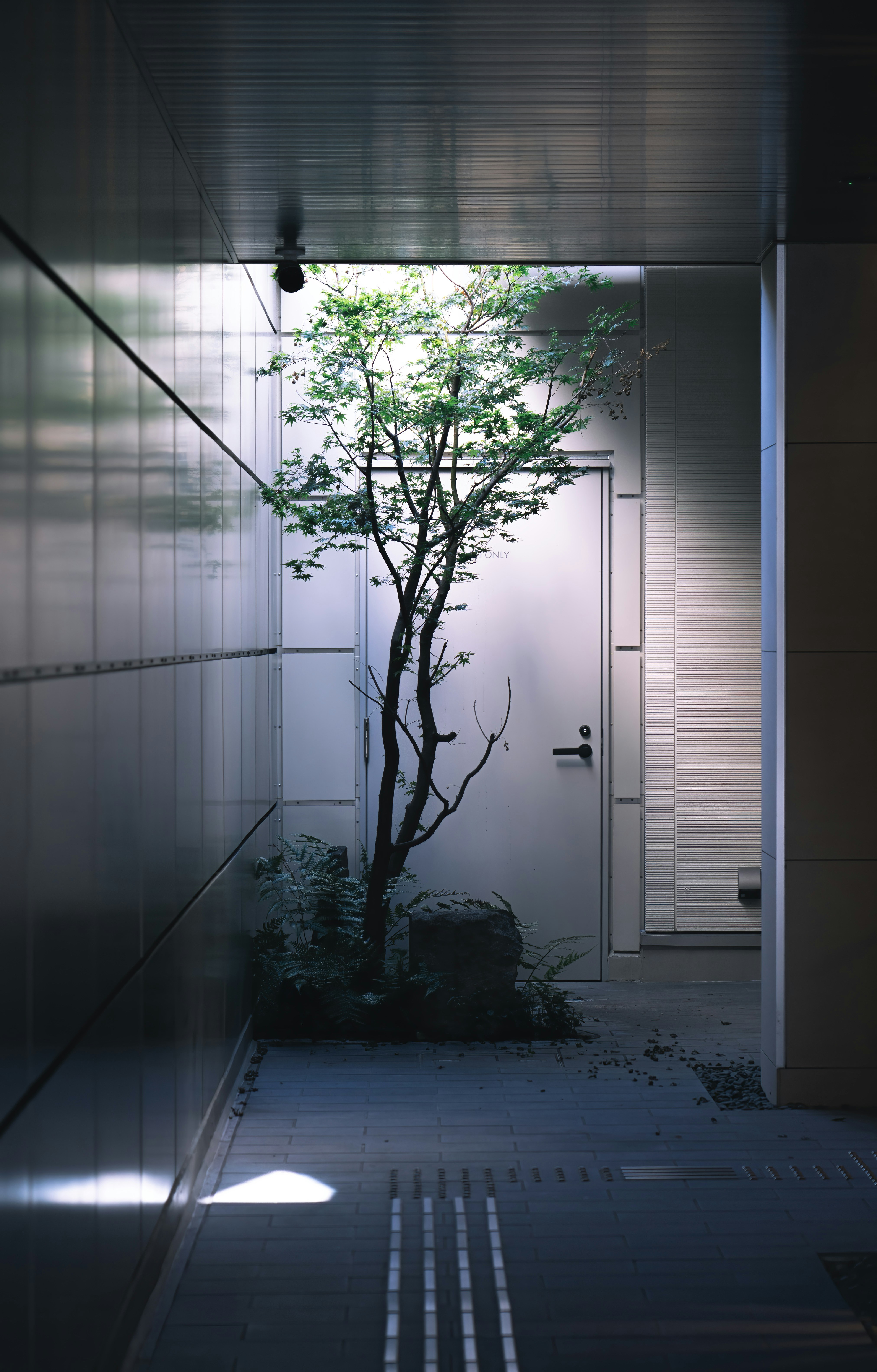 Photo by juniperphoton