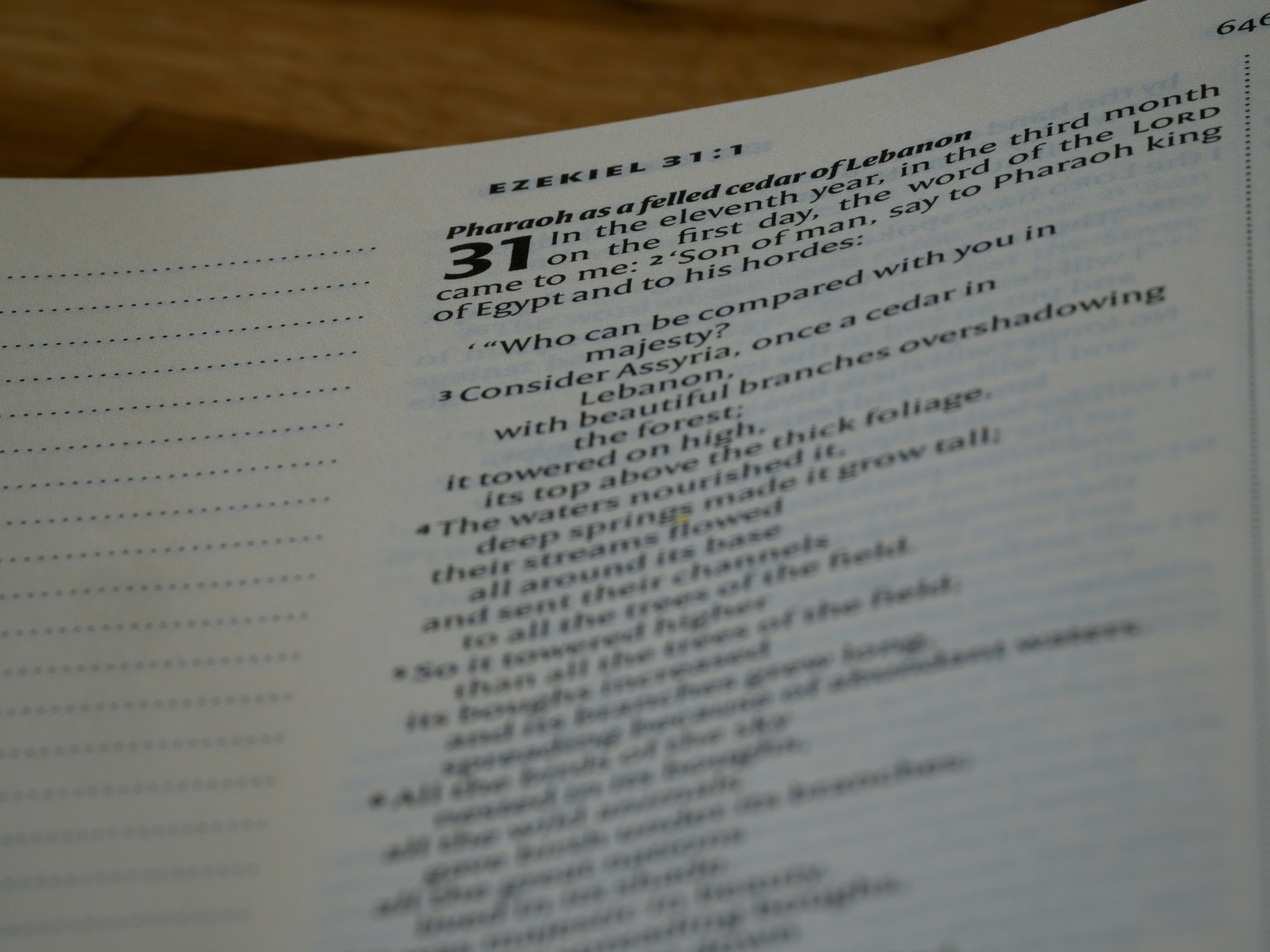 photo-1696575549354-0b2a7fb0f9cd?ixid=M3wxMjA3fDB8MXxzZWFyY2h8OHx8c2VsaXIlMjA3NyUyMGRhZnRhcnxlbnwwfHx8fDE3NTE0NzE3ODZ8MA\u0026ixlib=rb-4.1.0