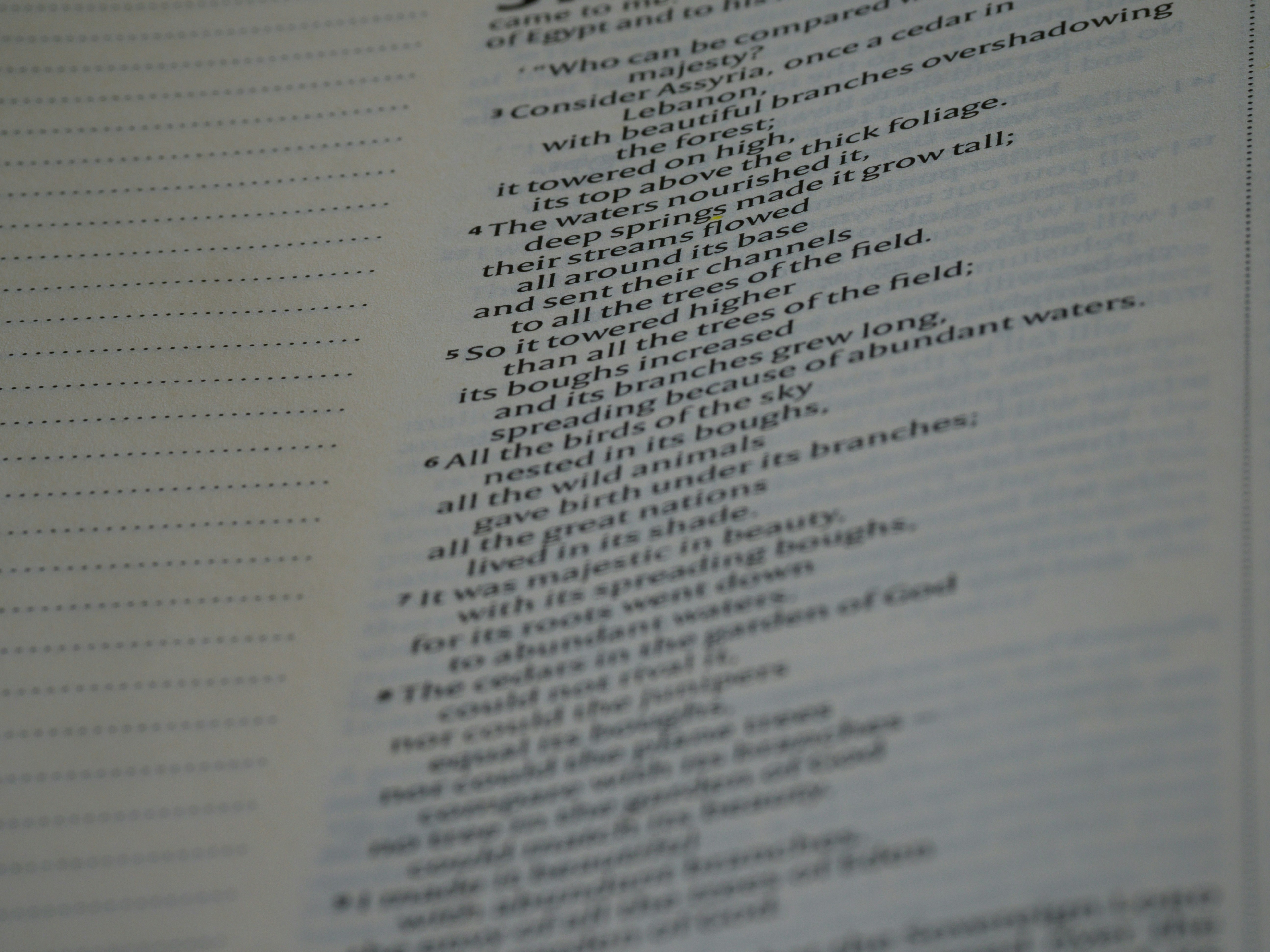 a close up of a book with words on it