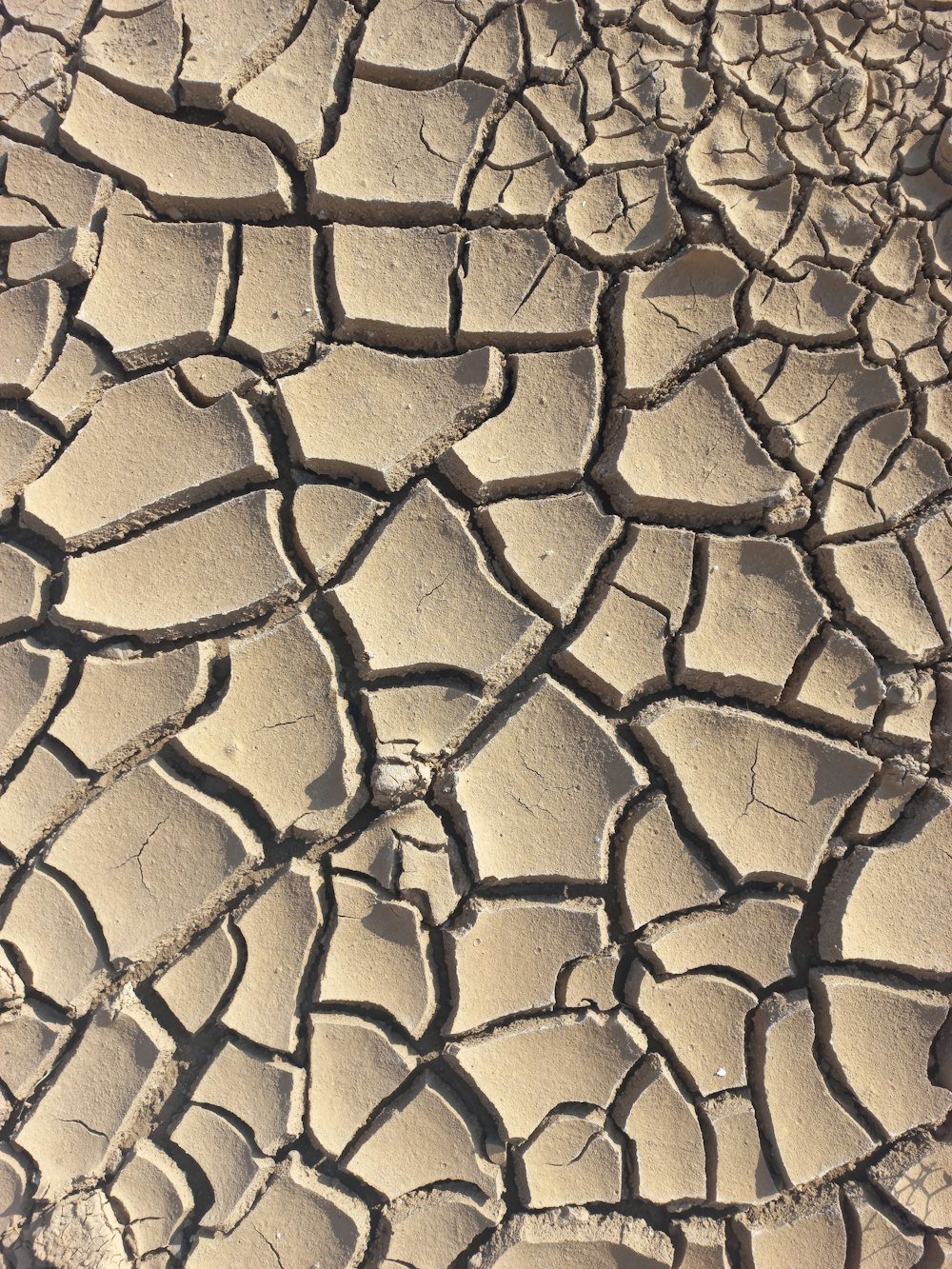 a close up of a cracked surface of dirt