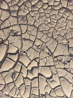 A close-up view of cracked, dry earth, showing a network of irregular shapes and lines created by the splitting ground. The texture is gritty and rough, highlighting a sense of aridness and desolation.
