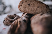 A close-up of our delicious sweet bread varieties.