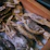 Close-up of a rustic wooden board with various types of fresh, handmade pasta dusted lightly with flour.