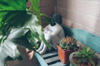 a couple of potted plants sitting on top of a wooden bench