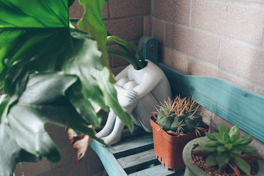 a couple of potted plants sitting on top of a wooden bench
