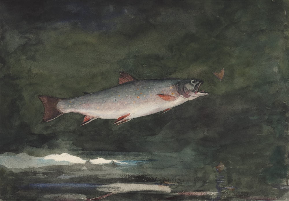 a painting of a fish flying over a body of water