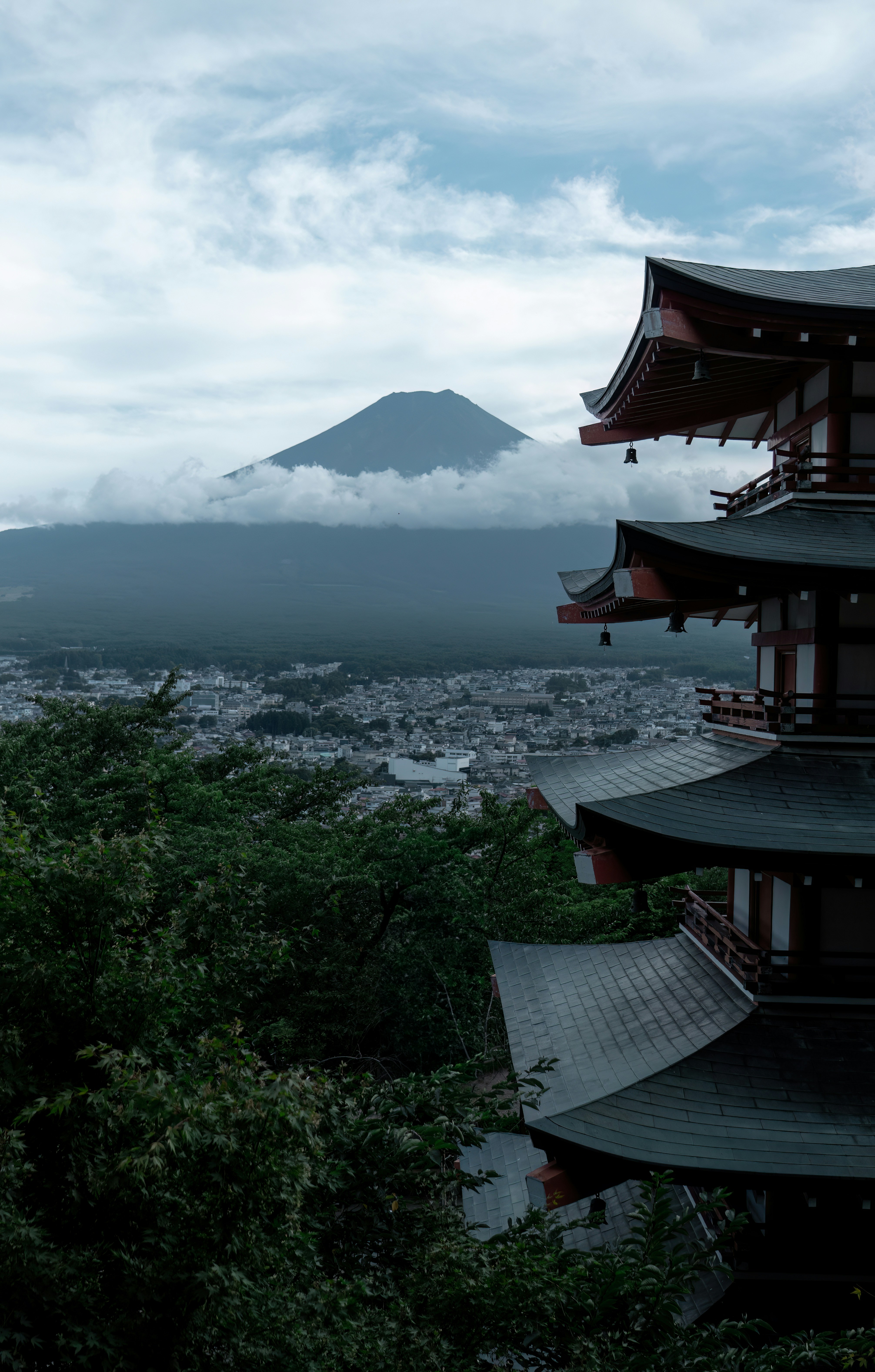 Photo by juniperphoton