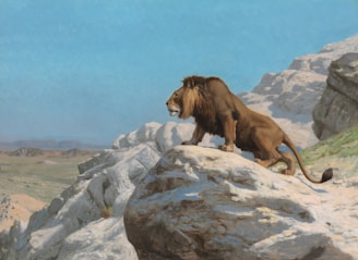 A majestic lion standing on a rocky outcrop under a clear blue sky.