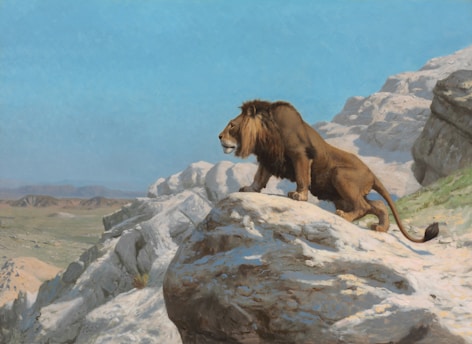 A majestic lion standing on a rocky outcrop under a clear blue sky.