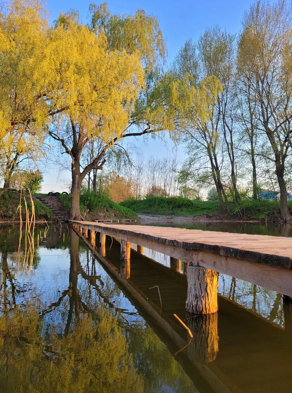 a wooden bridge over a body of water surrounded by trees