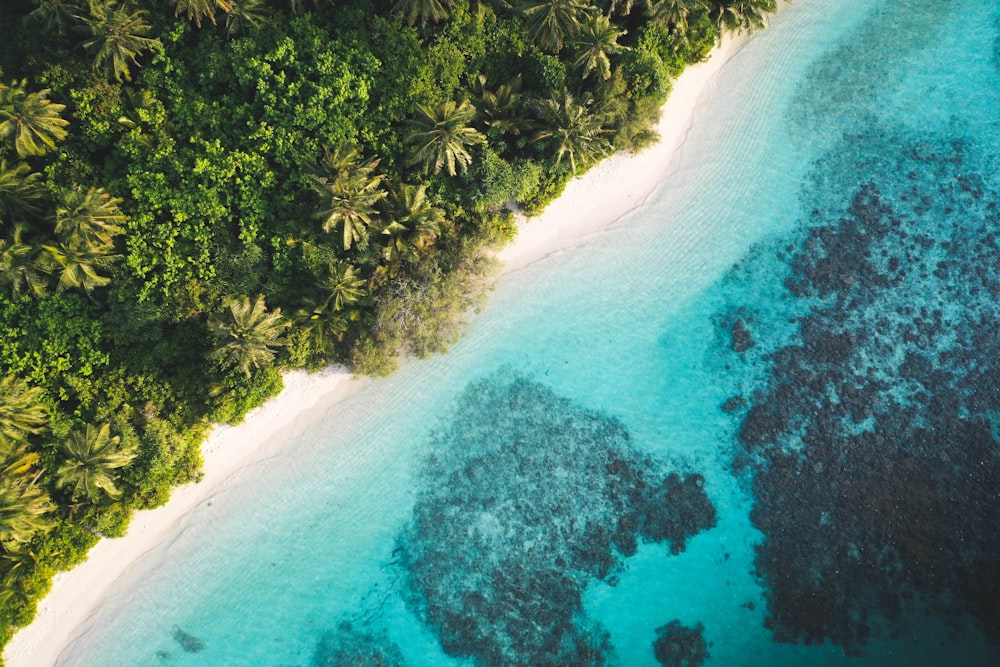 una vista aerea di una spiaggia tropicale e di una laguna