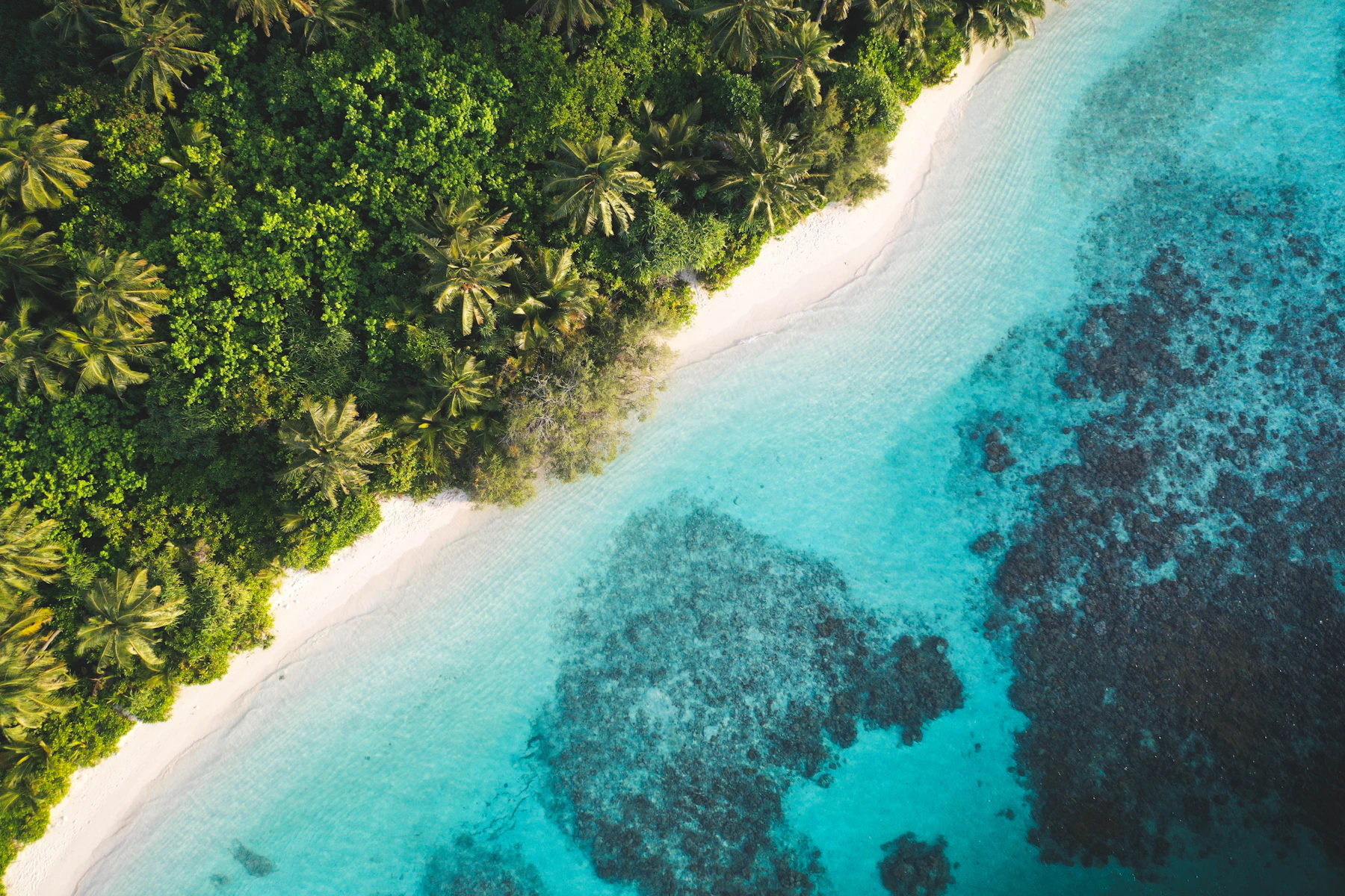 Aerial view of lush Dhigurah meeting a turquoise lagoon in the Maldives