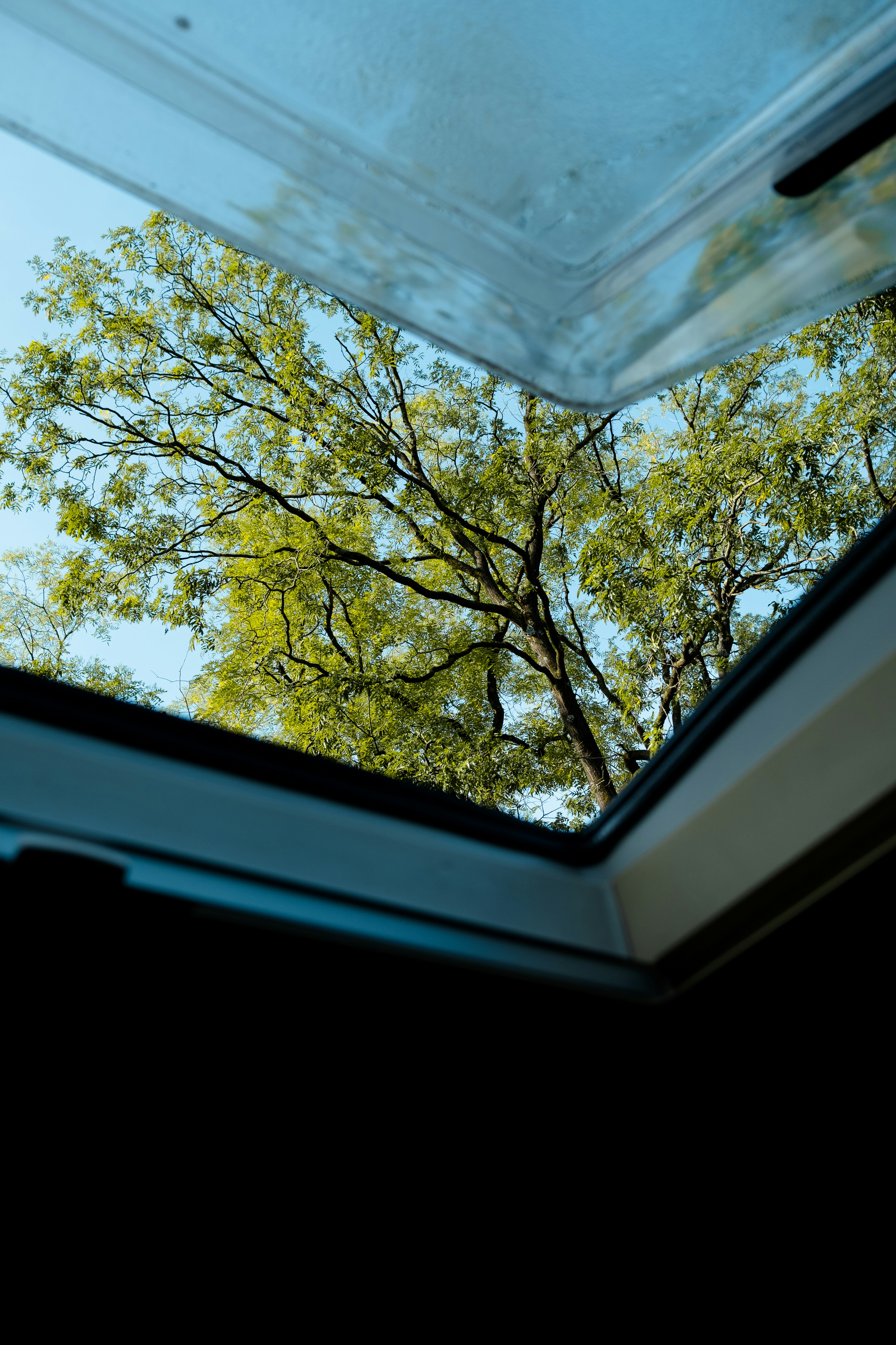 Photo by albertobiondifoto