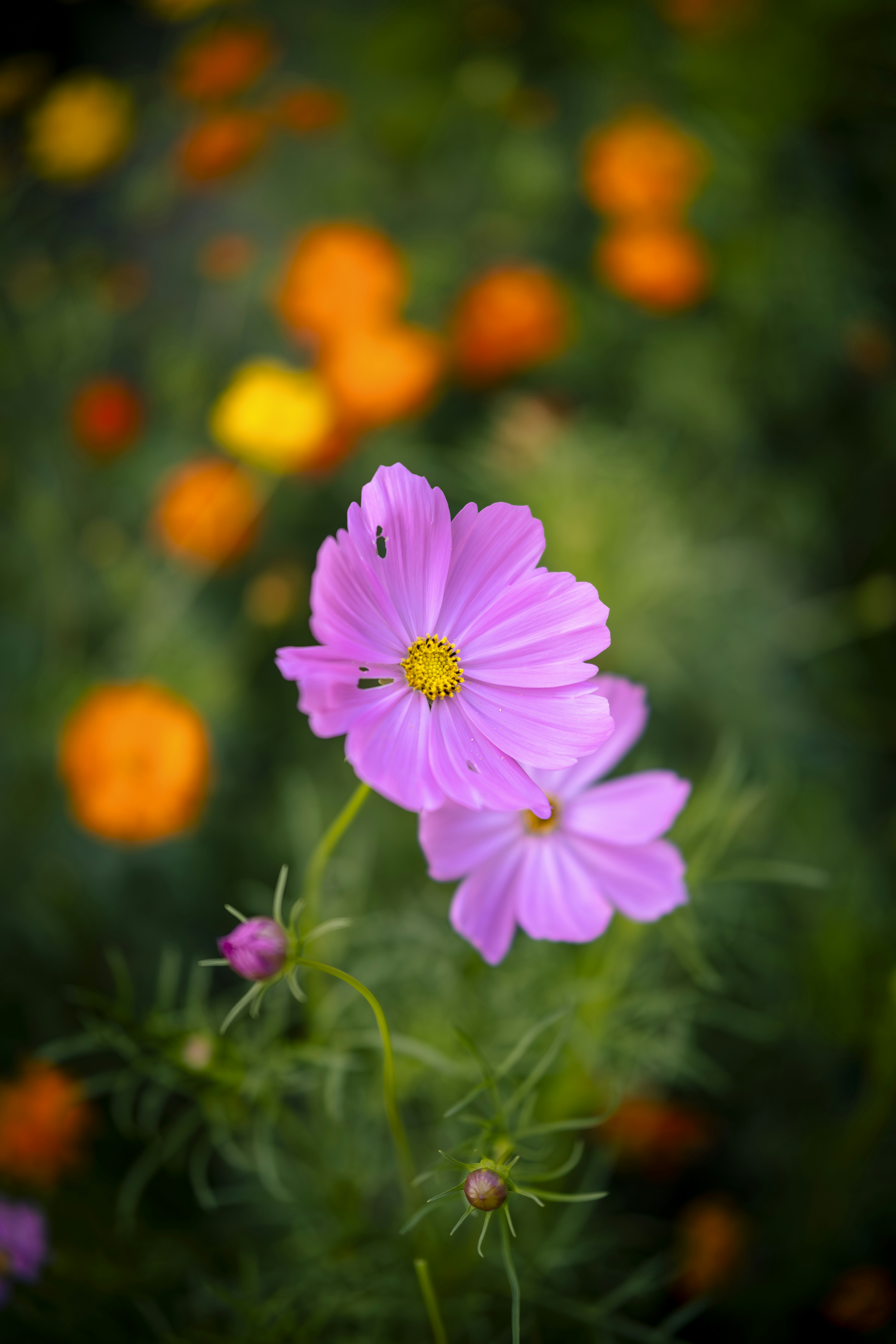 Photo by wenhao_ruan