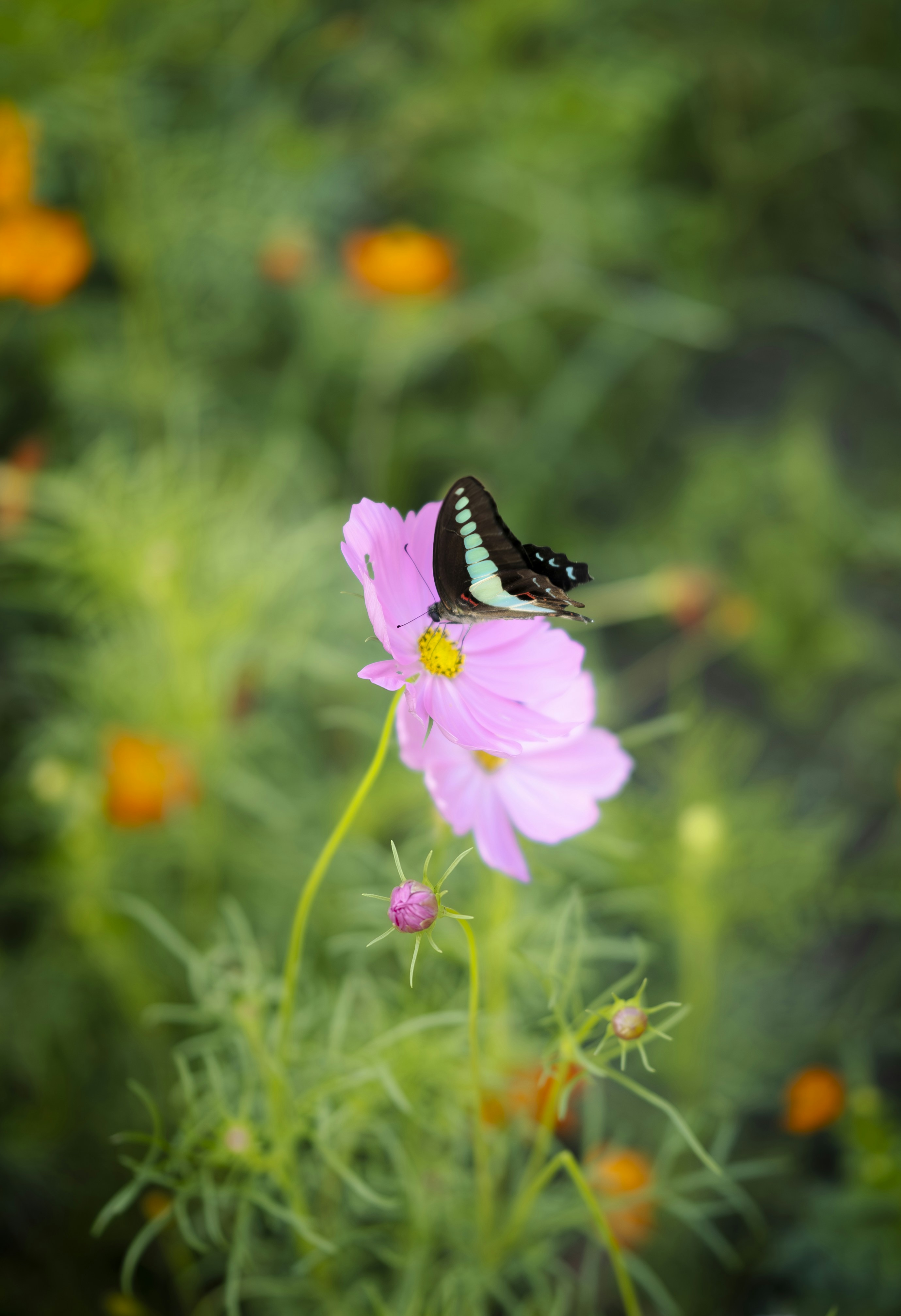 Photo by wenhao_ruan