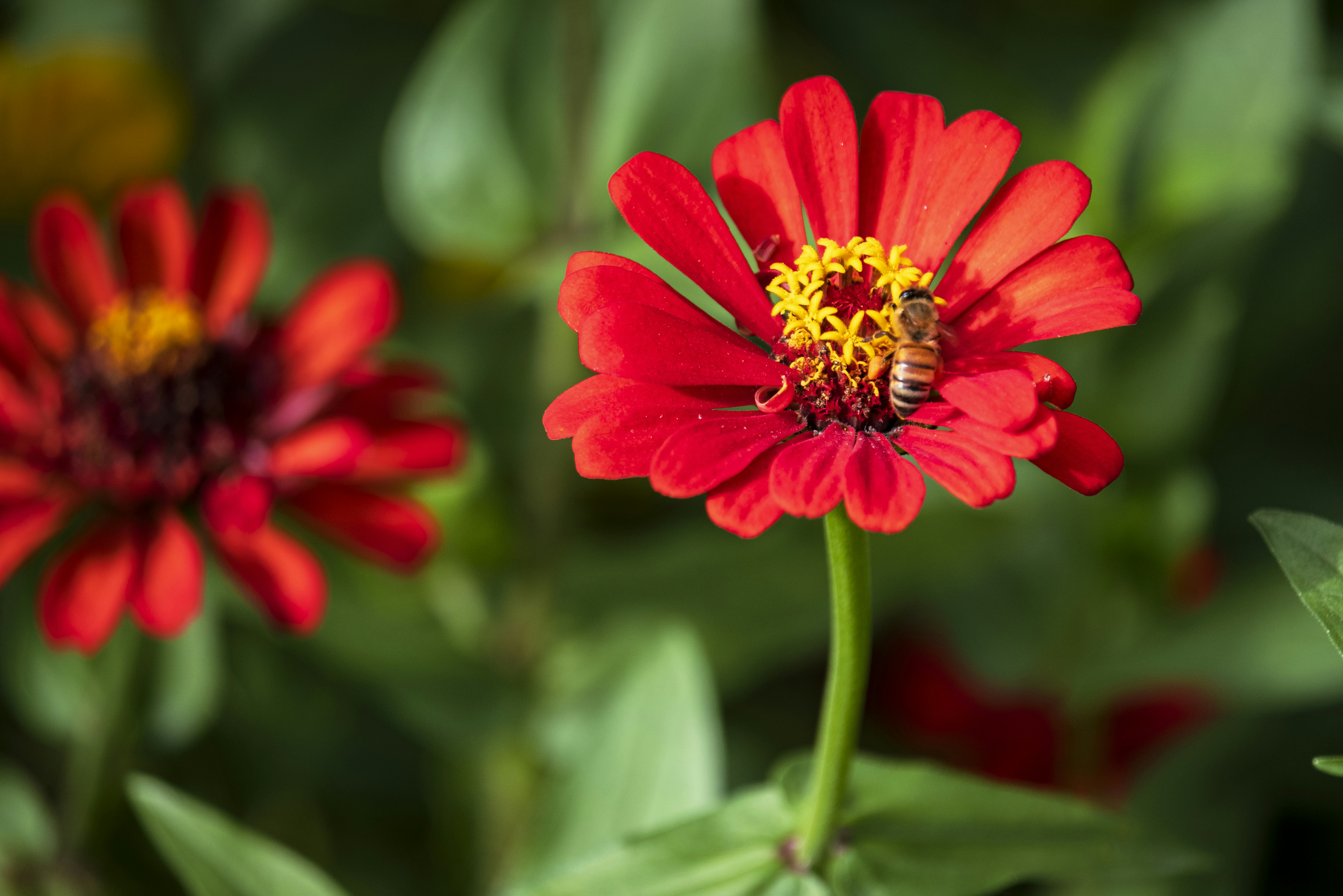 Photo by wenhao_ruan