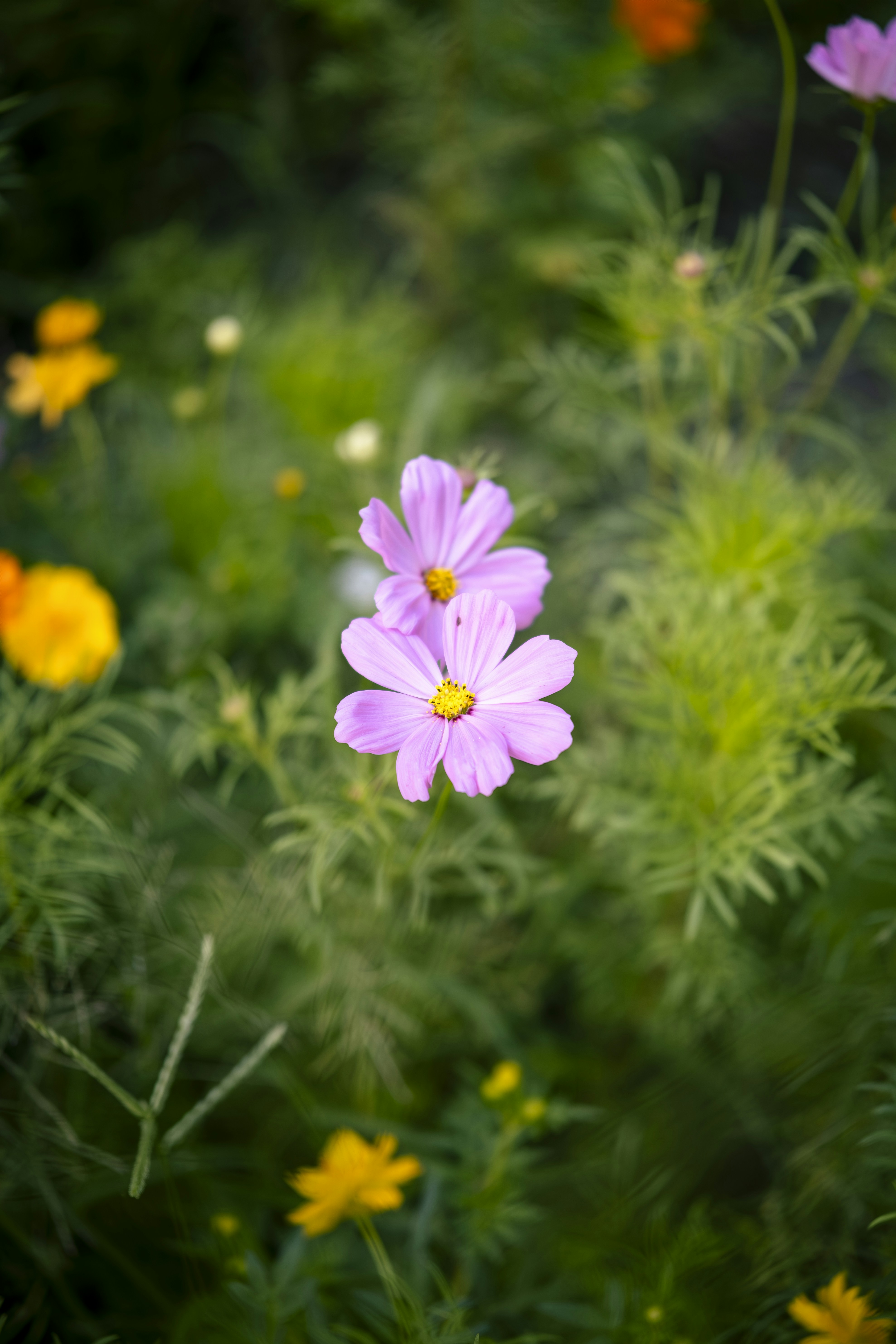 Photo by wenhao_ruan