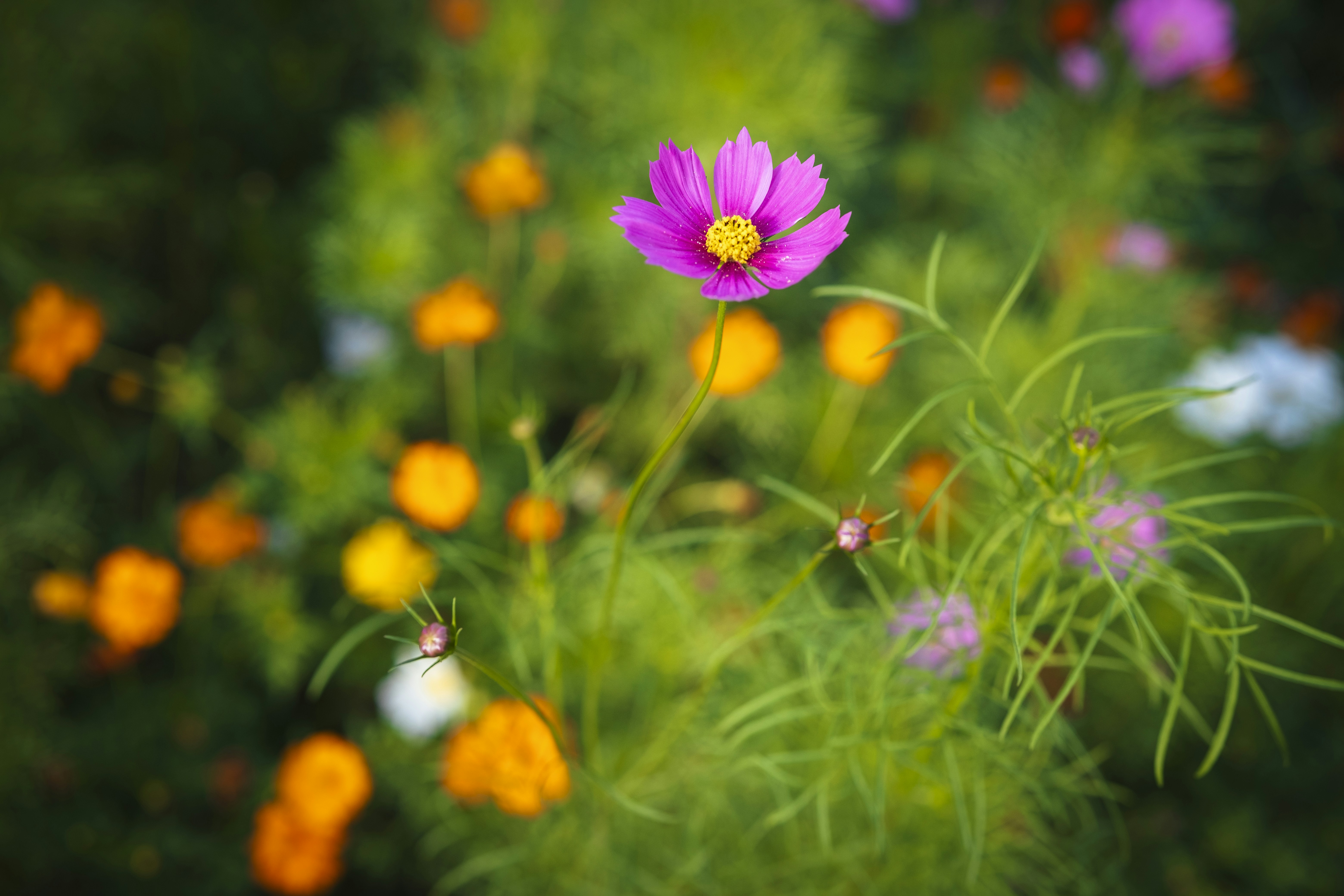 Photo by wenhao_ruan