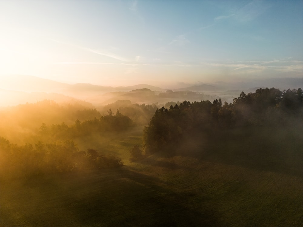 a field with trees and fog in the distance