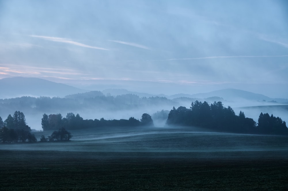 a foggy field with trees and hills in the distance