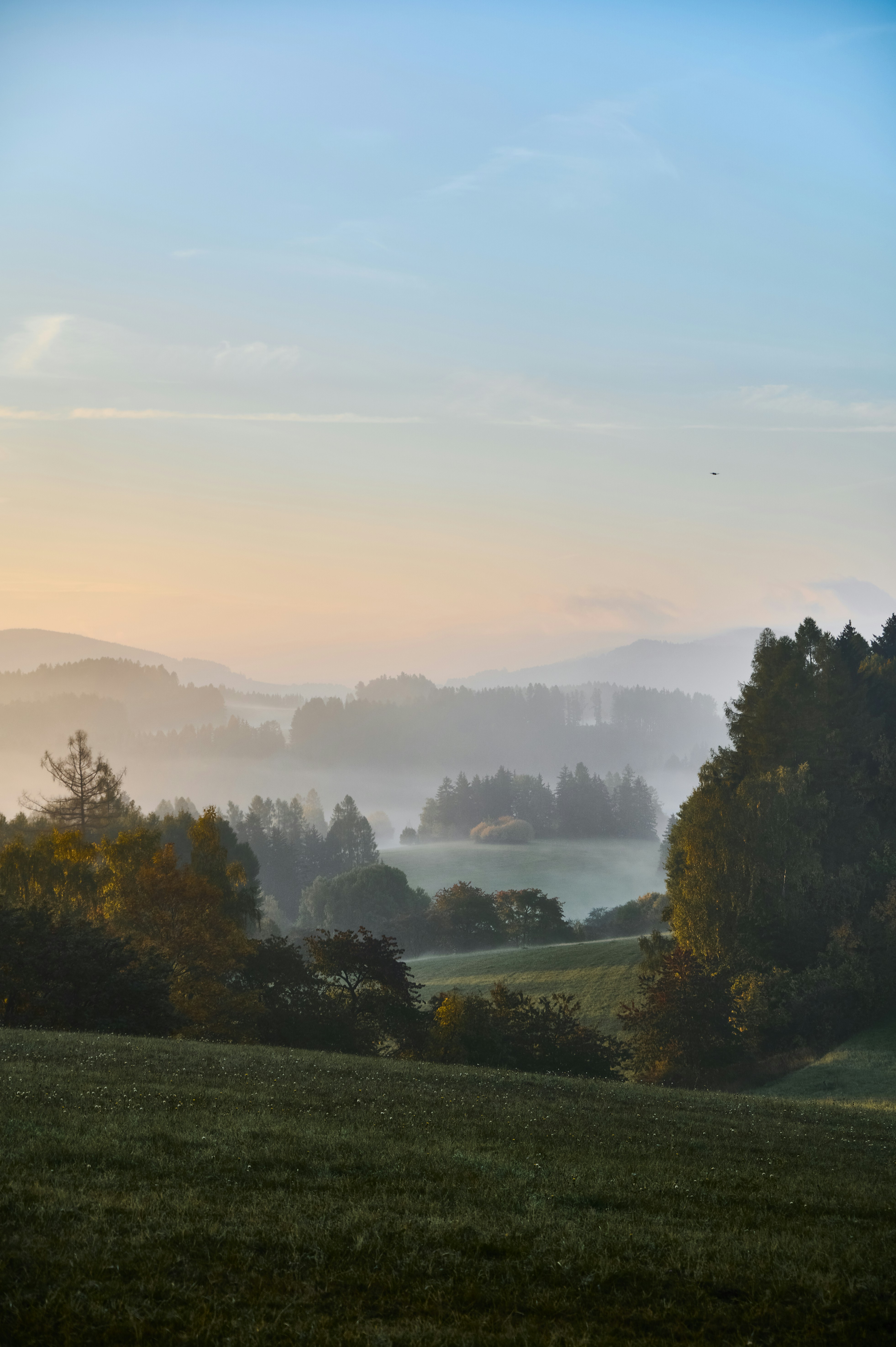 Photo by marekdvorak