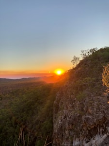 Sunset Forest Painting