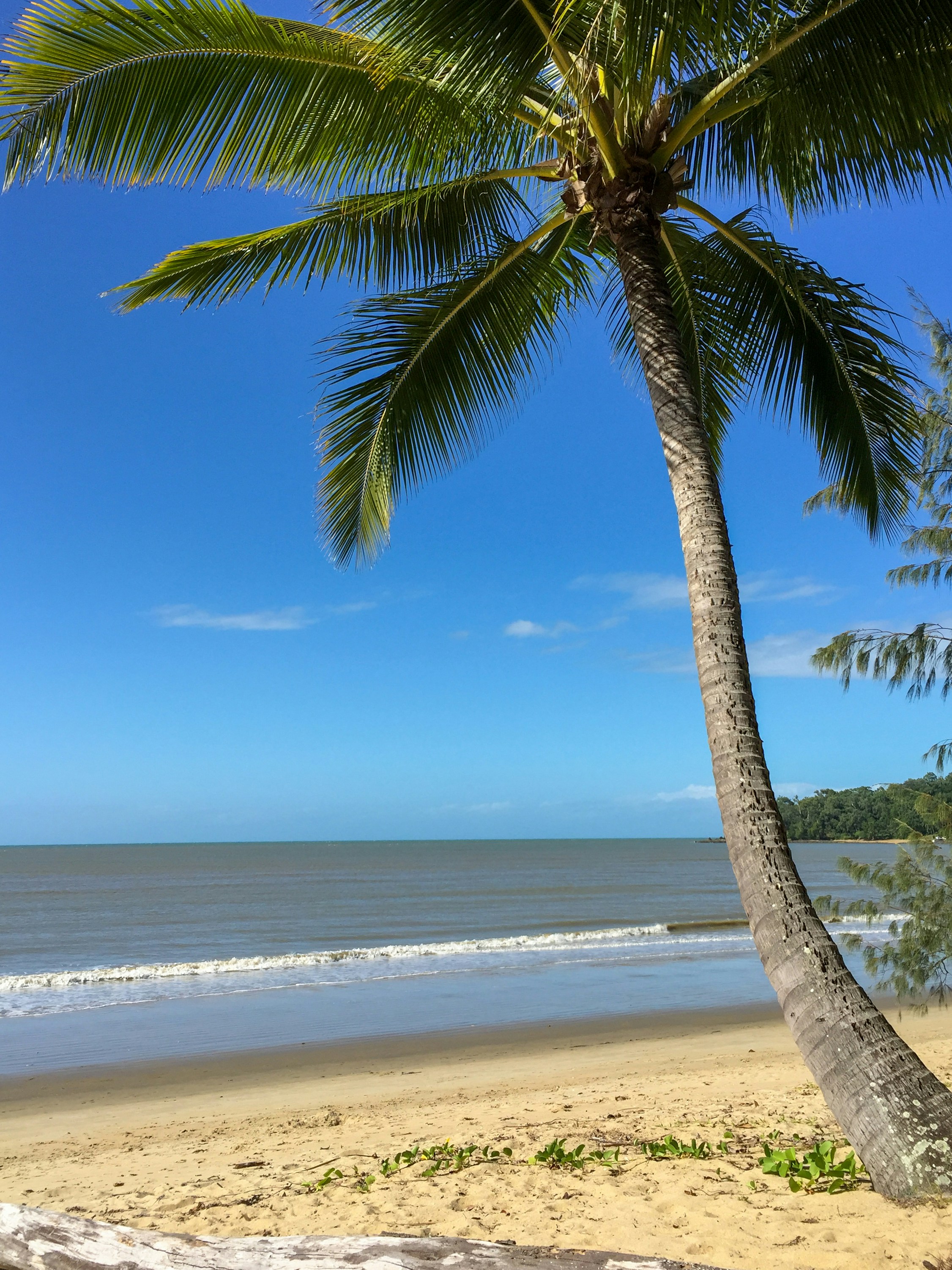 Photo by bartgriensven