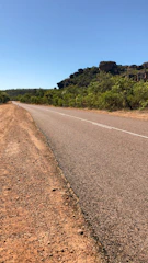 A freshly paved highway stretching through a lush Cameroonian landscape under a clear blue sky.
