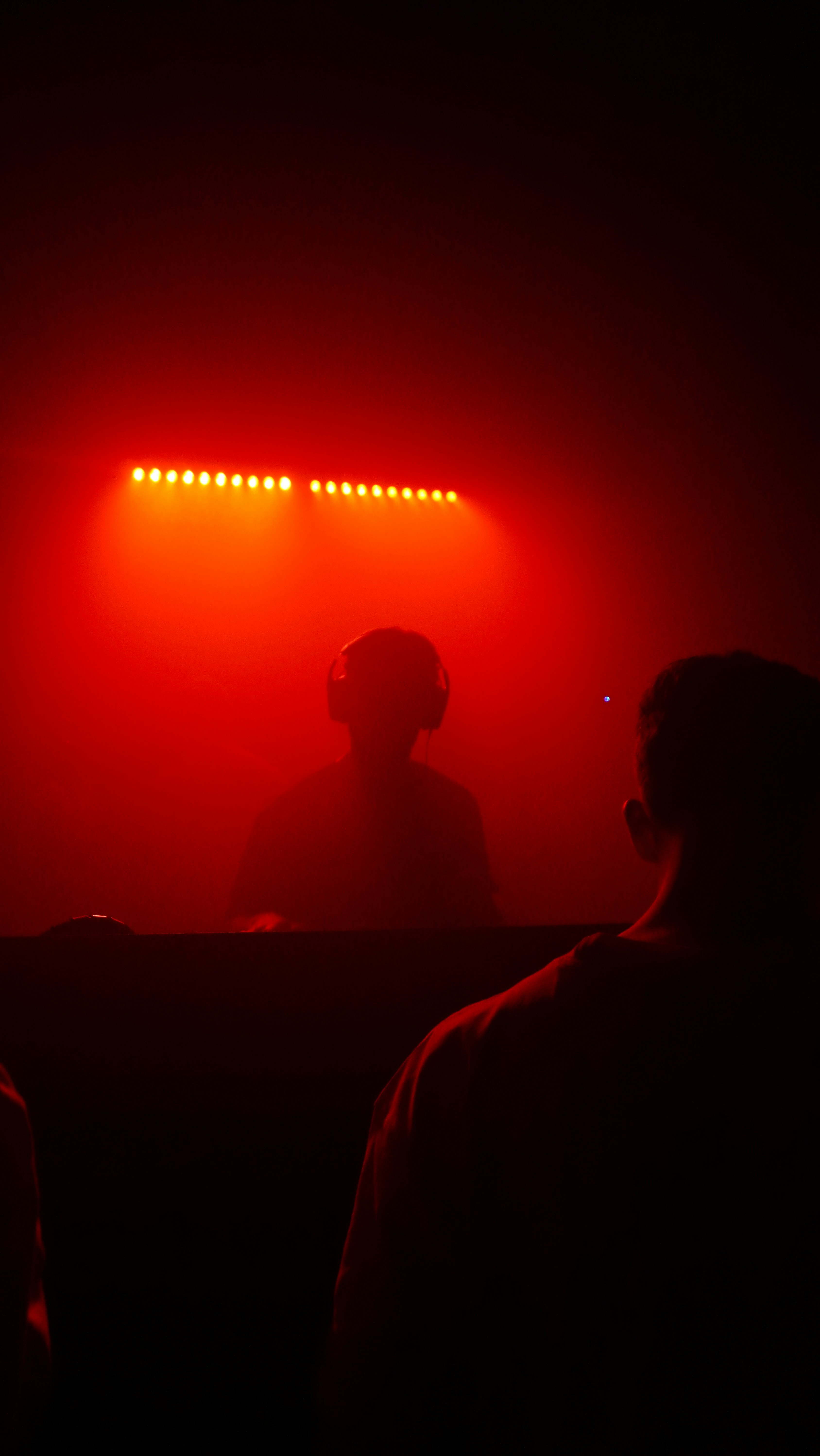 Photo by bartgriensven