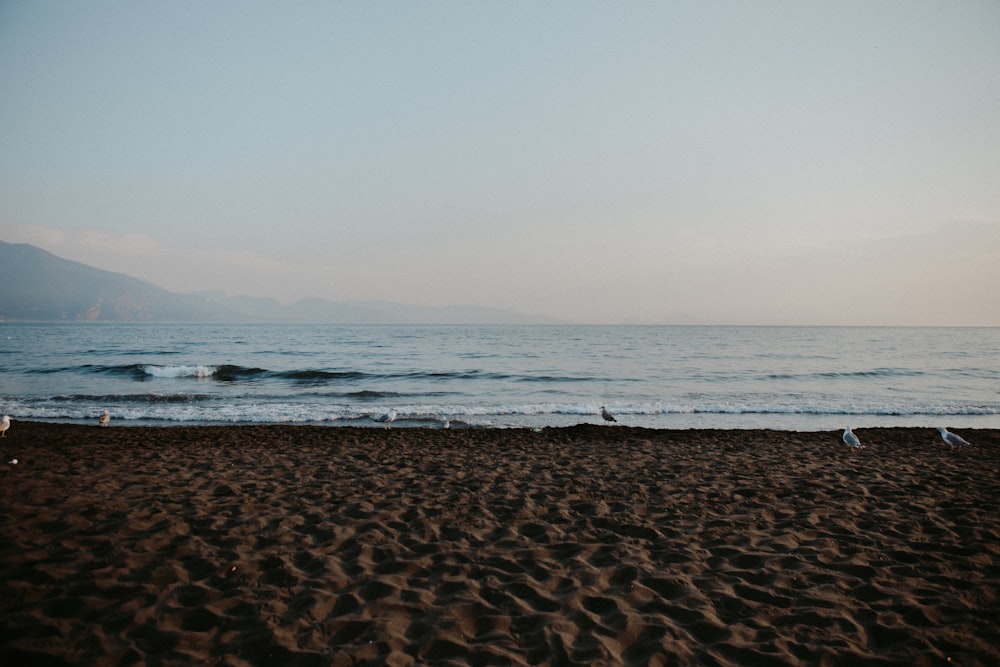 uma vista para o oceano a partir de uma praia de areia