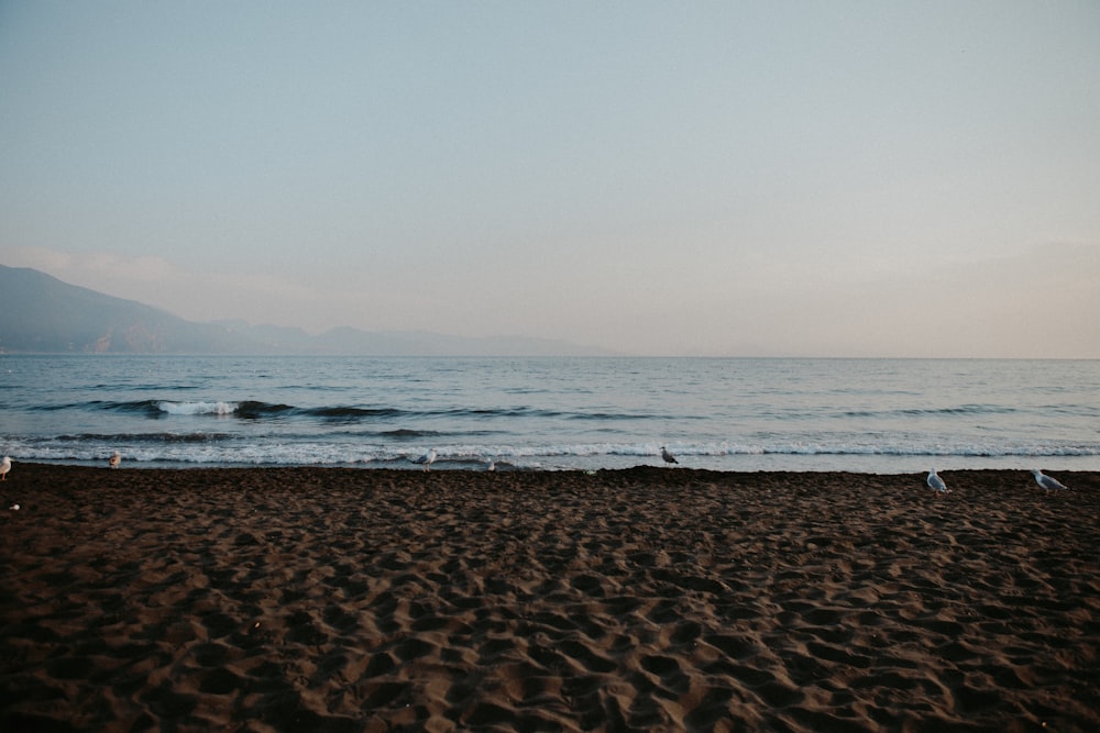 a view of the ocean from a sandy beach