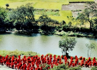 A serene riverbank restoration site with workers planting native vegetation alongside flowing water.