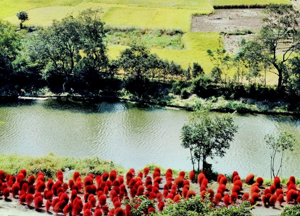 A serene riverbank restoration site with workers planting native vegetation alongside flowing water.