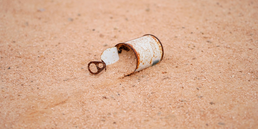 a rusted metal object laying on the ground