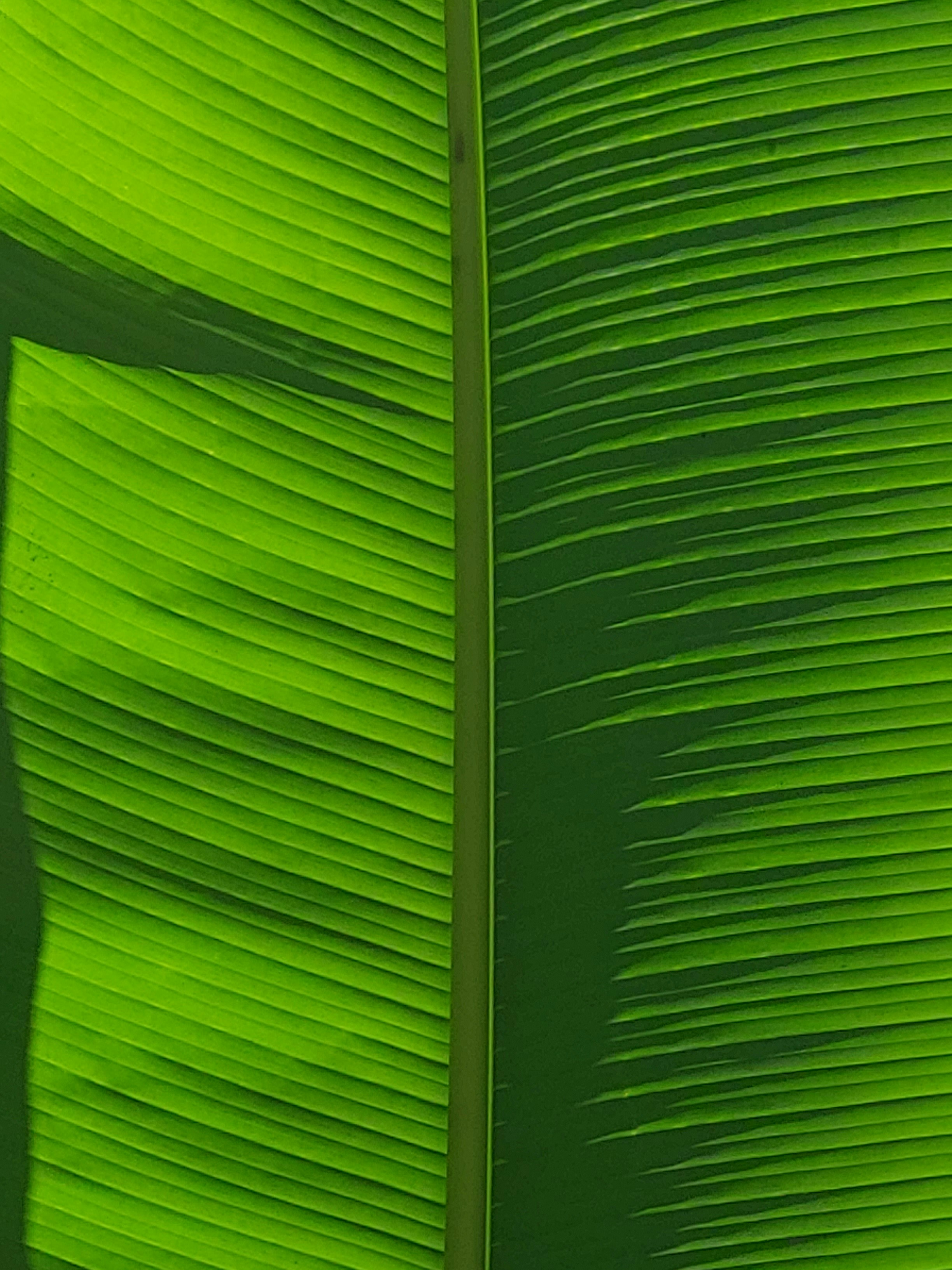 Photo by anna_kharkivska