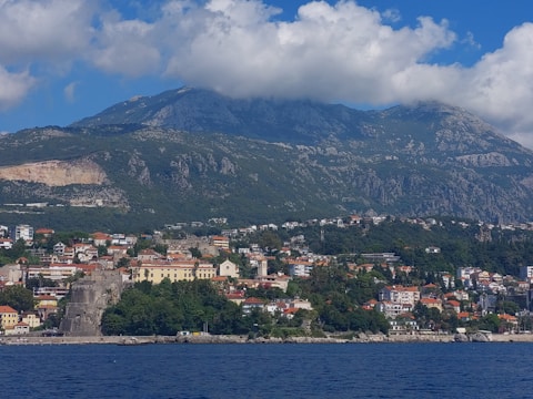 a view of a city with mountains in the background