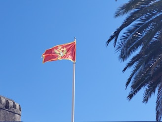 A red flag with an emblem is flying high on a flagpole against a clear blue sky. The flag features a yellow border and a golden emblem in the center. A section of a stone tower is visible in the lower-left corner, and to the right, there are fronds of a palm tree extending into the frame.