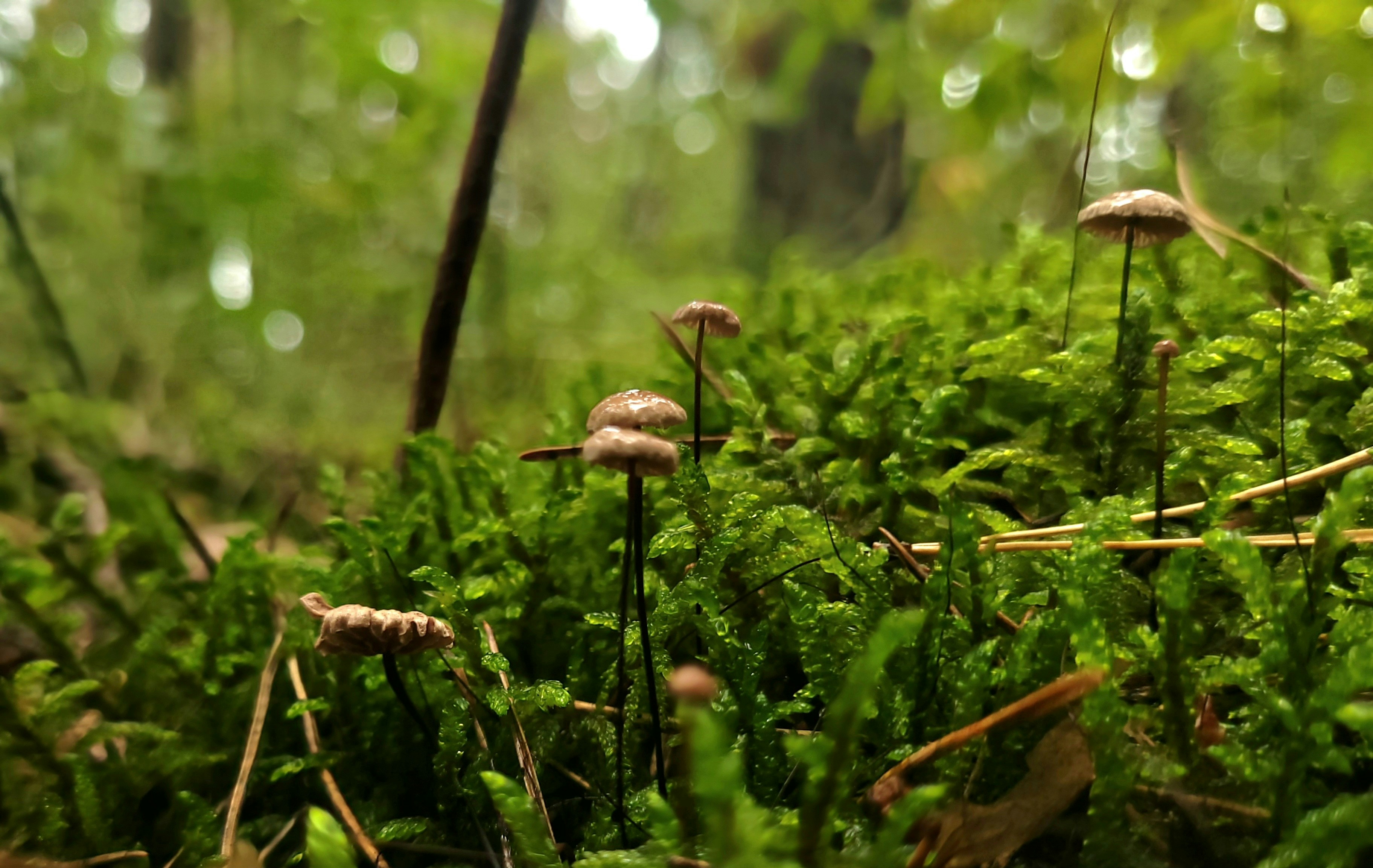 Photo by ivan_antonenko