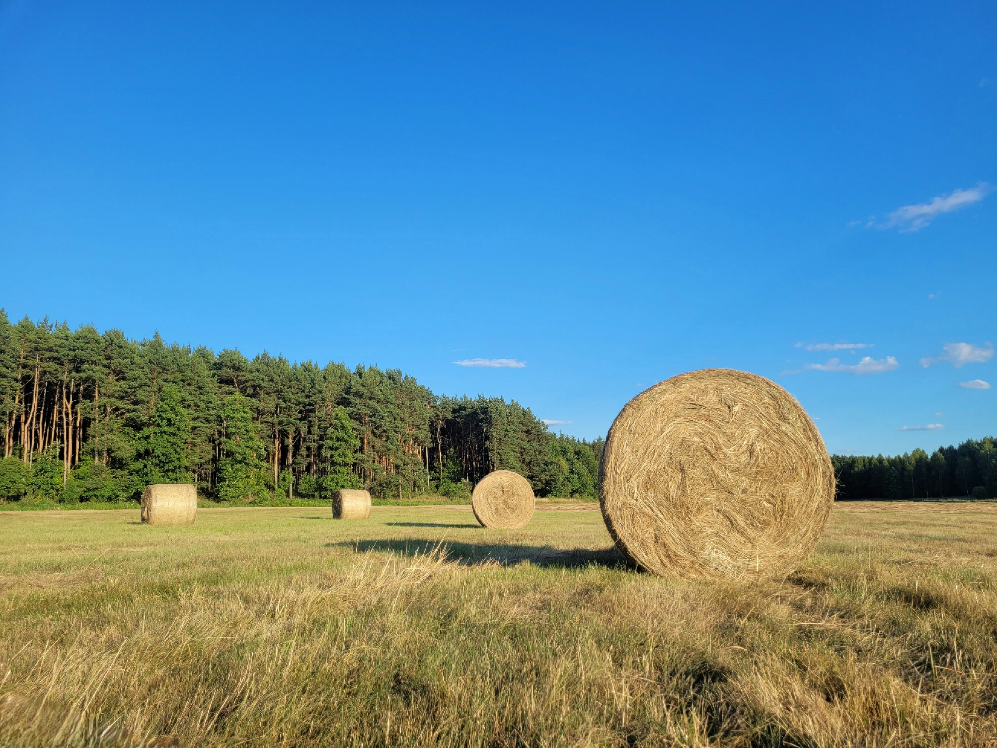 Photo by ivan_antonenko