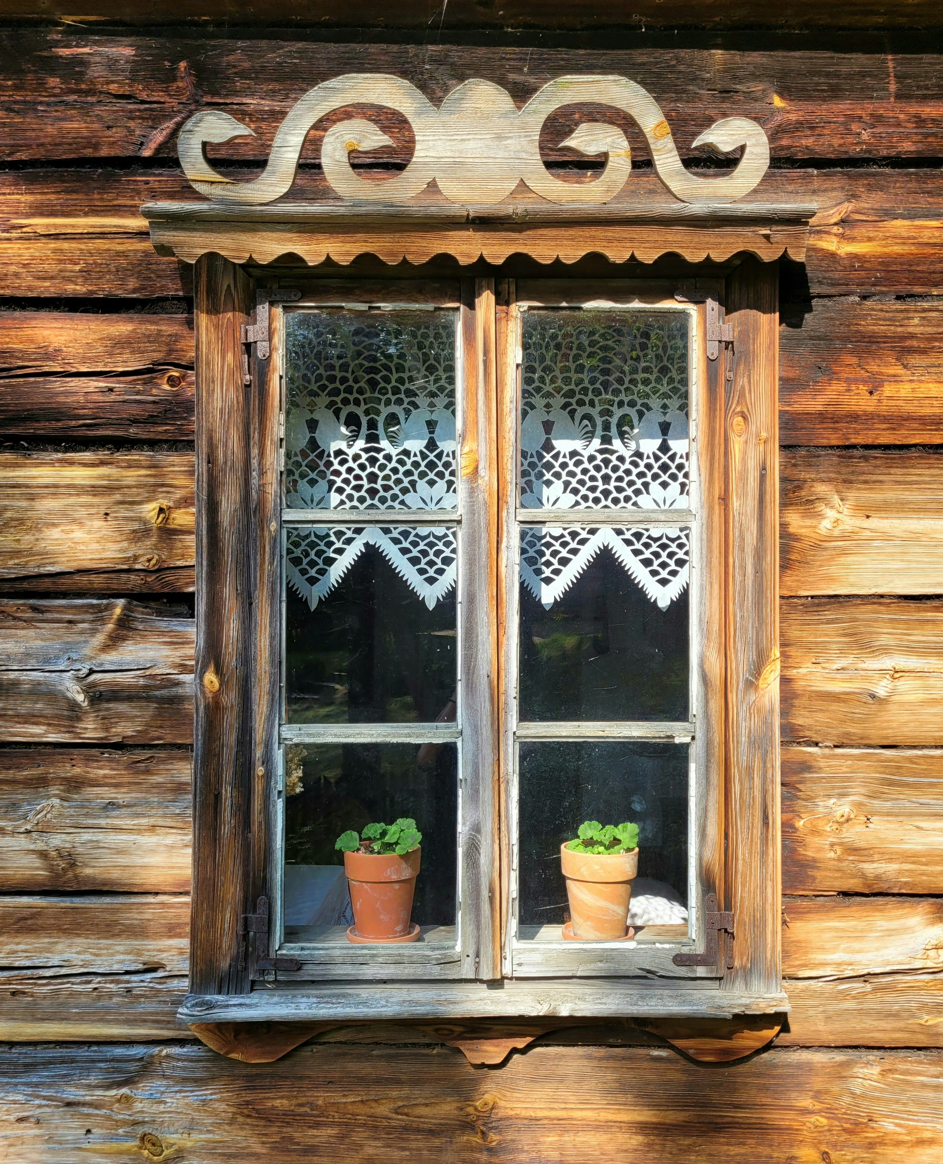 Photo by ivan_antonenko