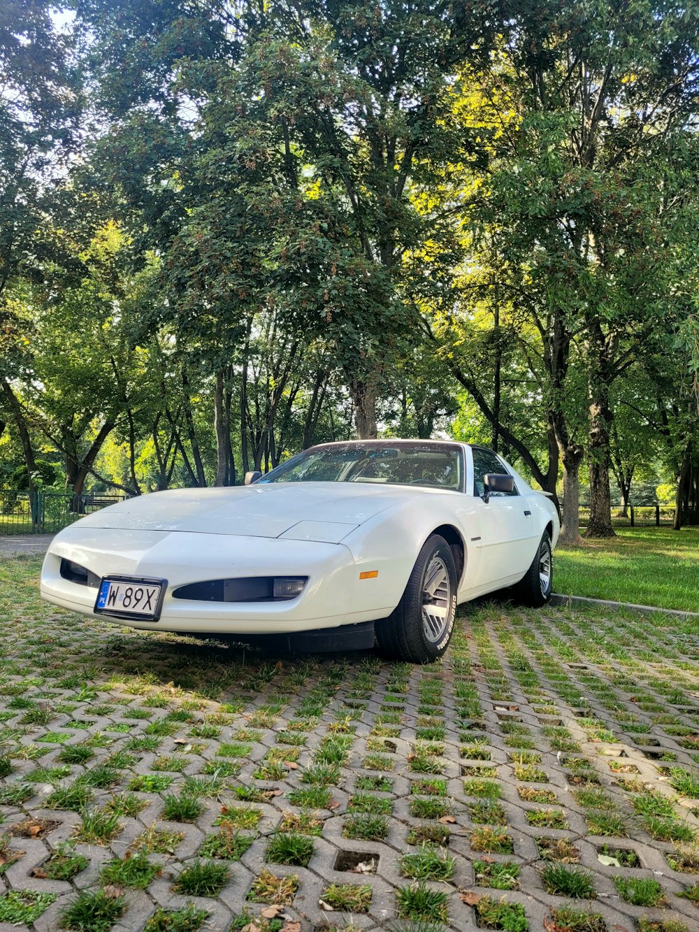 a white sports car parked in a park