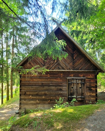 drewniany stary domek na tle lasu
