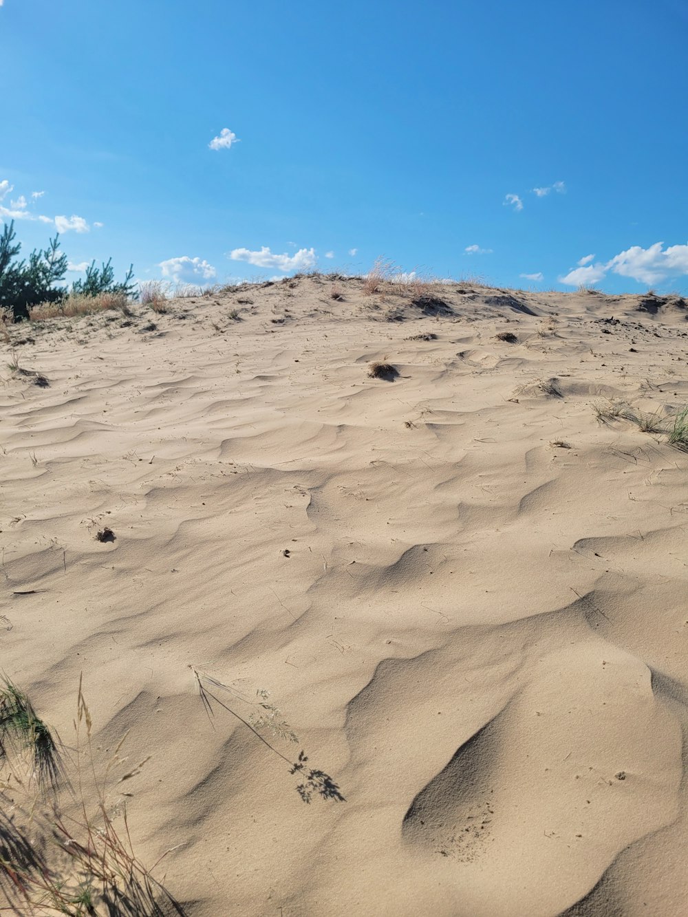 a view of a sandy area with a blue sky in the background