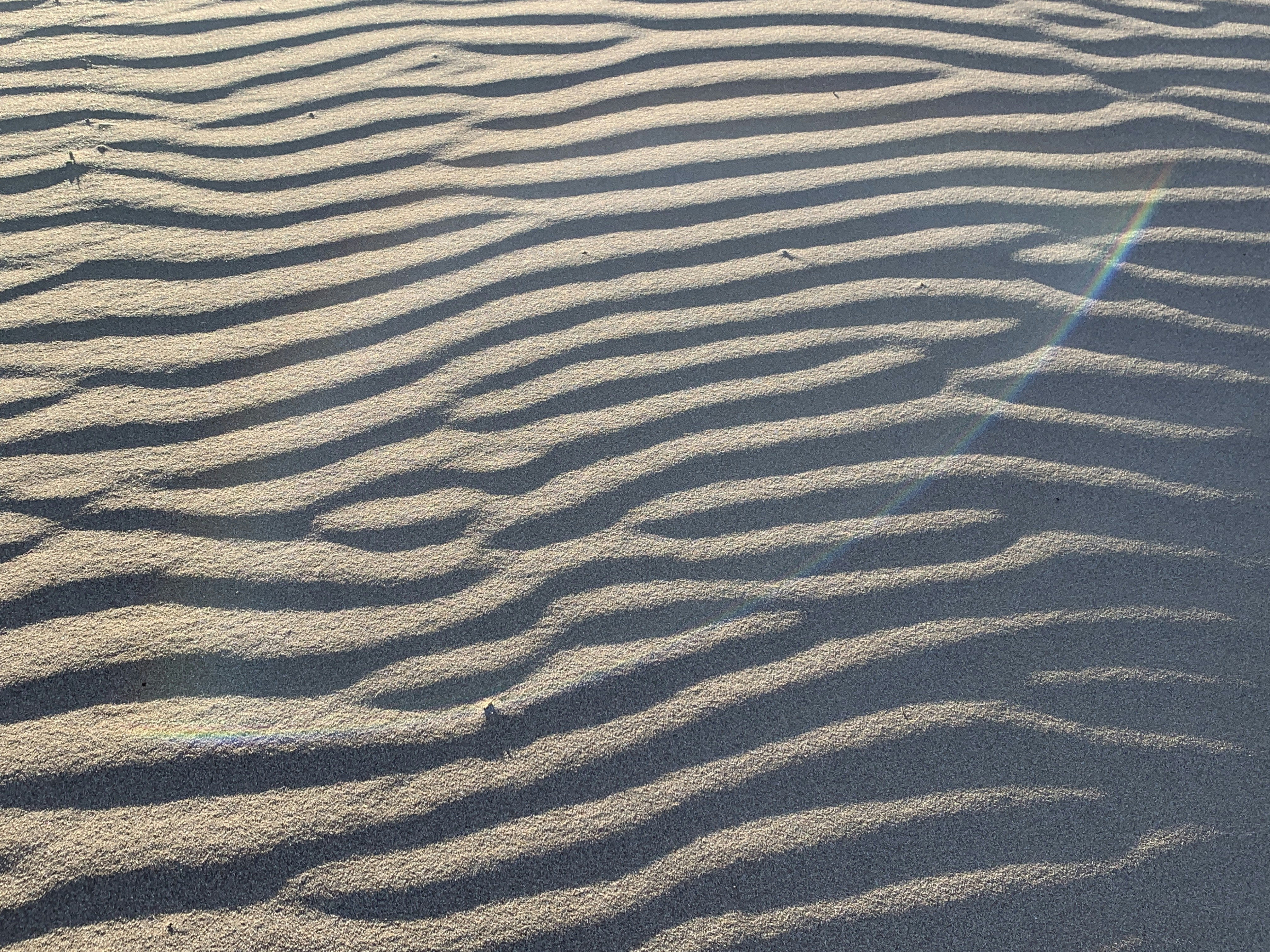 Photo by gunter_beer