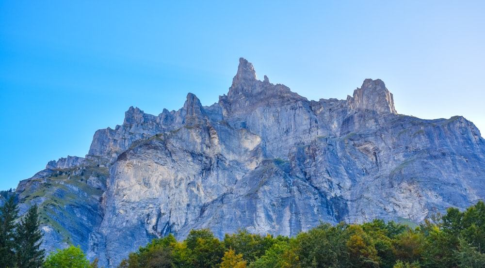 a very tall mountain with some trees in front of it