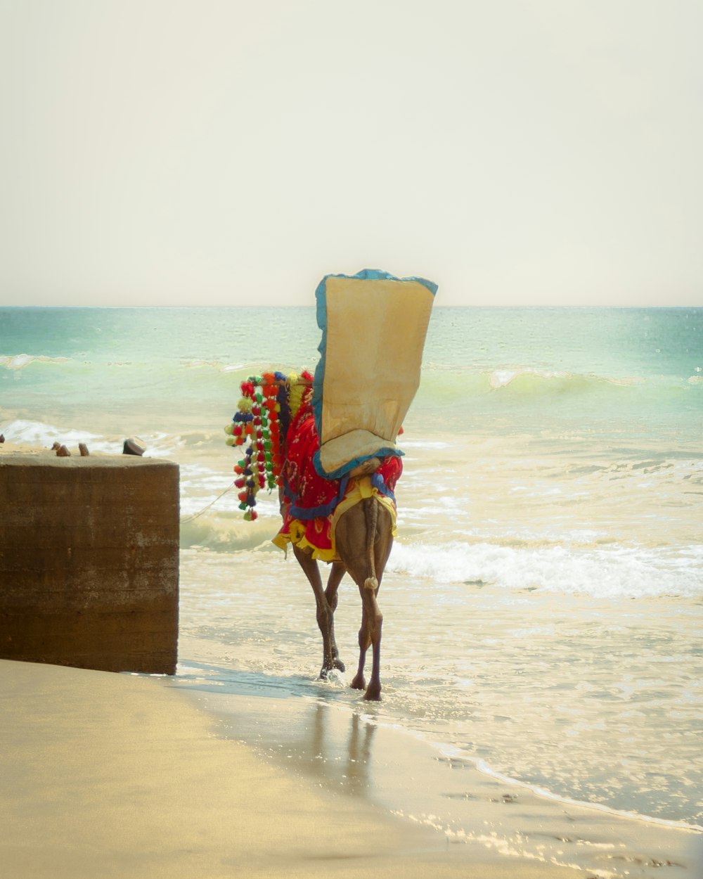 a person riding a horse on the beach