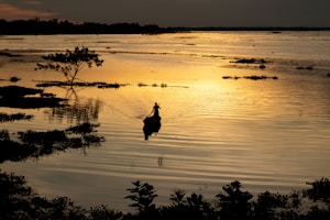 Canoa Canadense Clássica